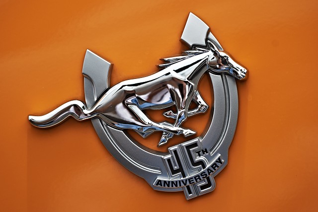 Mustang 45